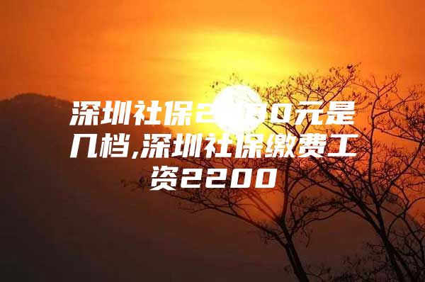 深圳社保2200元是几档,深圳社保缴费工资2200