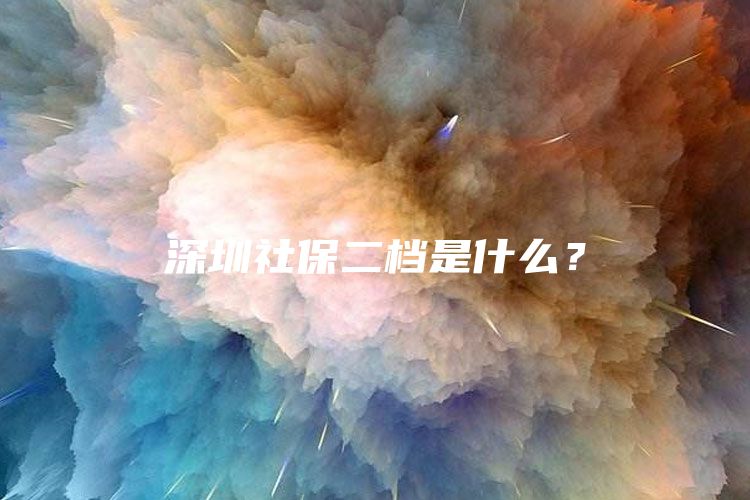 深圳社保二档是什么？