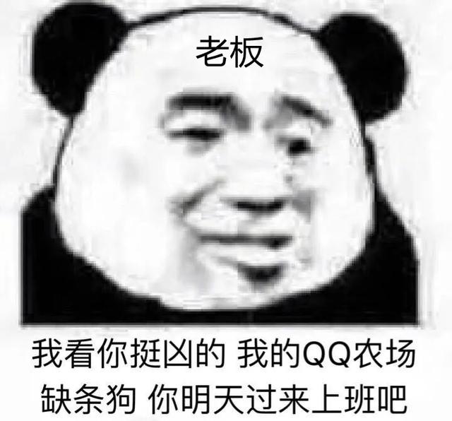 如果下定决心离职后想在“家里蹲”一会儿，好好休息给自己放个长假，社保怎么交？