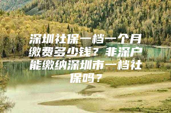 深圳社保一档一个月缴费多少钱？非深户能缴纳深圳市一档社保吗？