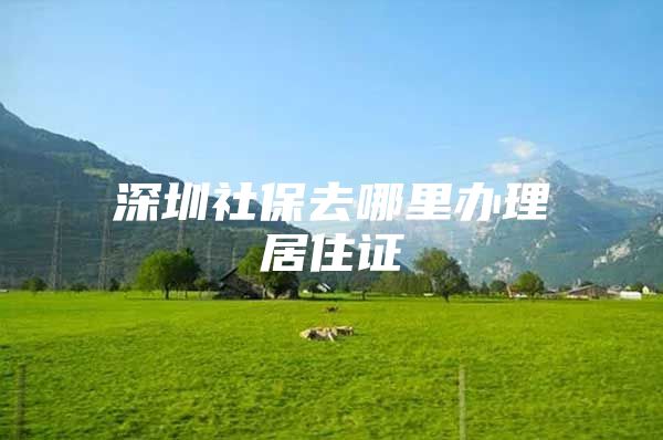 深圳社保去哪里办理居住证