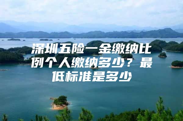 深圳五险一金缴纳比例个人缴纳多少？最低标准是多少