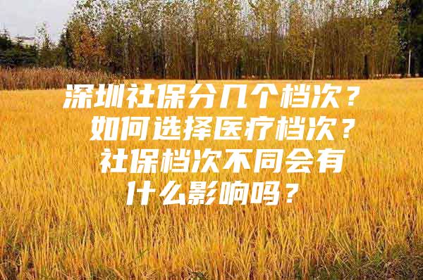 深圳社保分几个档次？ 如何选择医疗档次？ 社保档次不同会有什么影响吗？