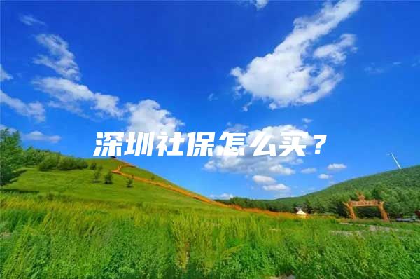 深圳社保怎么买？