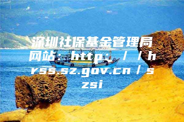 深圳社保基金管理局网站：http：／／hrss.sz.gov.cn／szsi