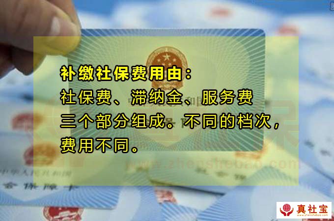 2021年深圳入学报名资格补缴社保办居住证能用吗？