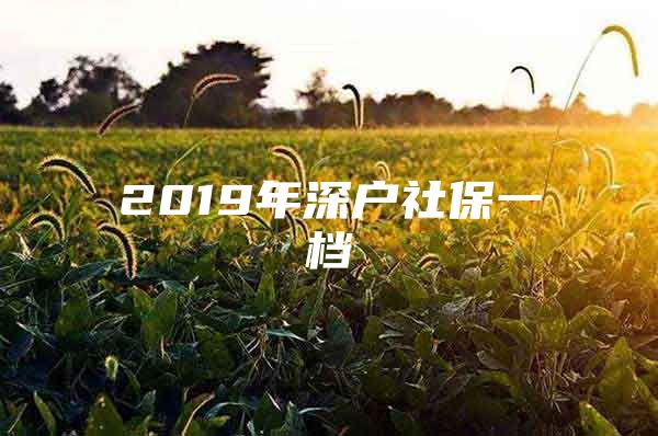 2019年深户社保一档