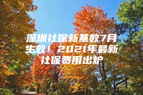 深圳社保新基数7月生效！2021年最新社保费用出炉