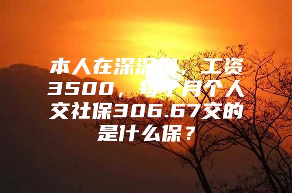 本人在深深圳，工资3500，每个月个人交社保306.67交的是什么保？