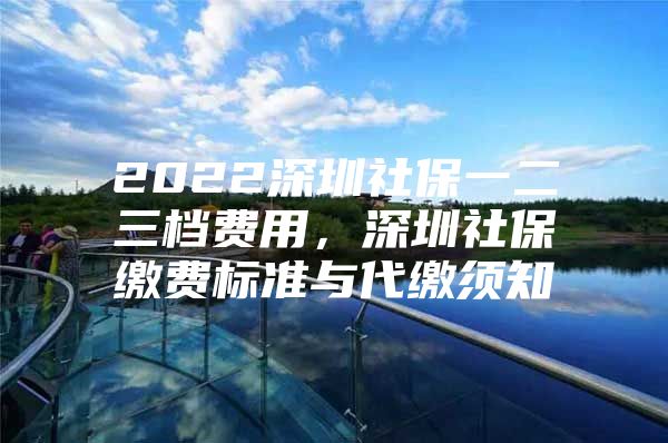 2022深圳社保一二三档费用，深圳社保缴费标准与代缴须知