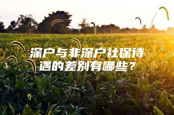 深户与非深户社保待遇的差别有哪些？