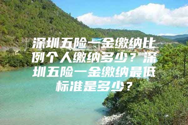 深圳五险一金缴纳比例个人缴纳多少？深圳五险一金缴纳最低标准是多少？