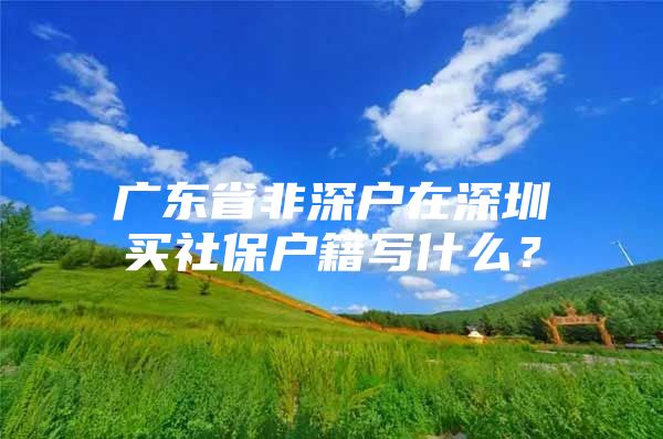 广东省非深户在深圳买社保户籍写什么？