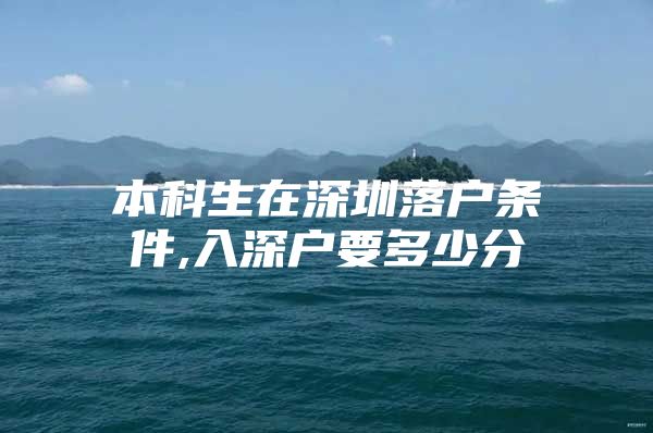 本科生在深圳落户条件,入深户要多少分