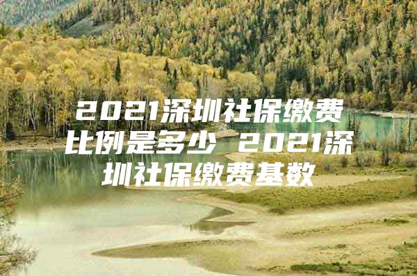 2021深圳社保缴费比例是多少 2021深圳社保缴费基数