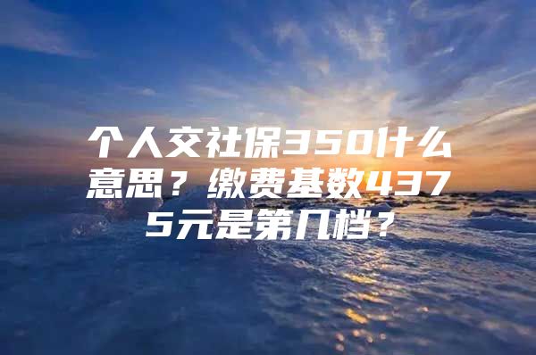 个人交社保350什么意思？缴费基数4375元是第几档？