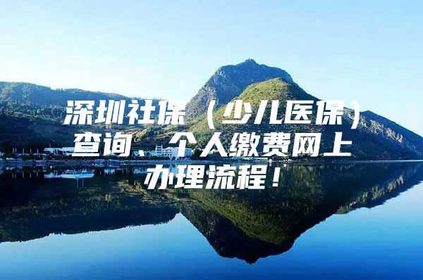 深圳社保（少儿医保）查询、个人缴费网上办理流程！