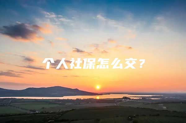 个人社保怎么交？