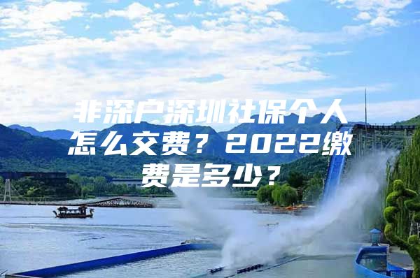 非深户深圳社保个人怎么交费？2022缴费是多少？