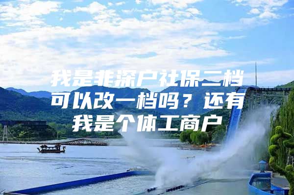 我是非深户社保二档可以改一档吗？还有我是个体工商户