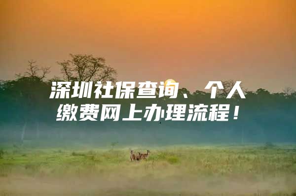 深圳社保查询、个人缴费网上办理流程！