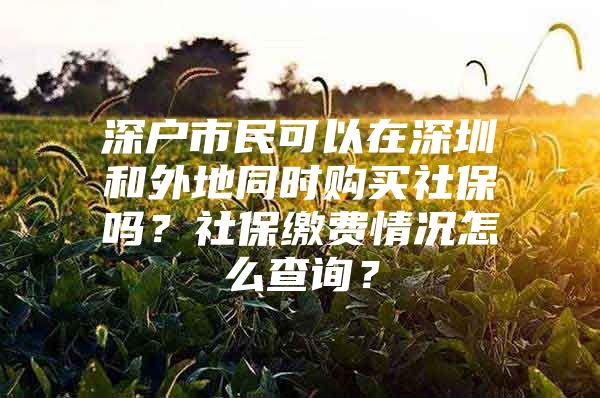 深户市民可以在深圳和外地同时购买社保吗？社保缴费情况怎么查询？