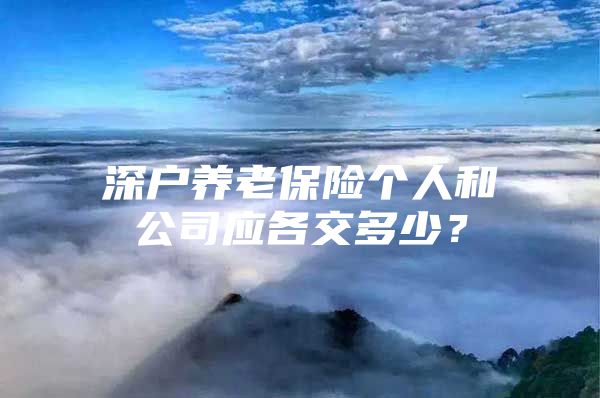 深户养老保险个人和公司应各交多少？