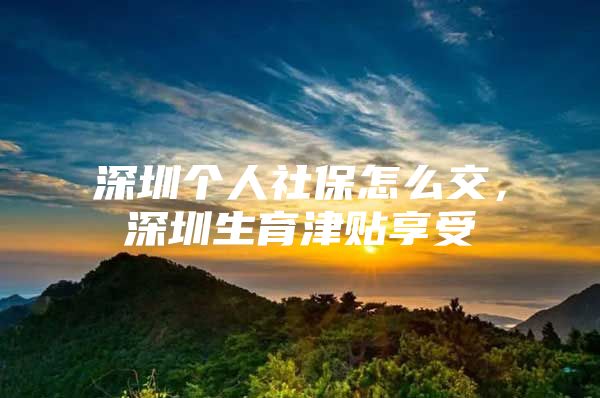 深圳个人社保怎么交，深圳生育津贴享受