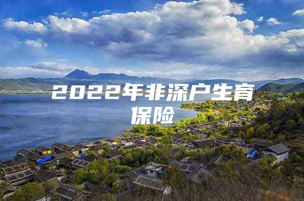 2022年非深户生育保险