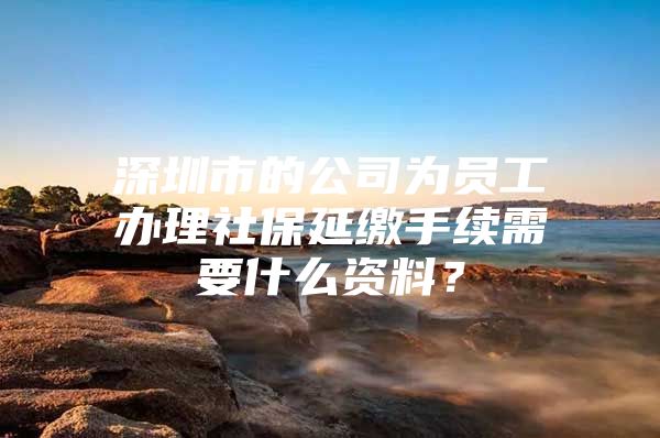 深圳市的公司为员工办理社保延缴手续需要什么资料？