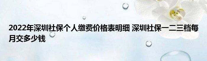 2022年深圳社保个人缴费价格表明细 深圳社保一二三档每月交多少钱