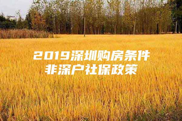 2019深圳购房条件非深户社保政策