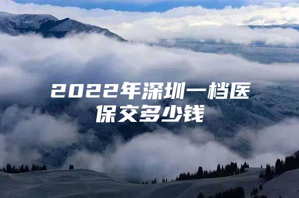 2022年深圳一档医保交多少钱