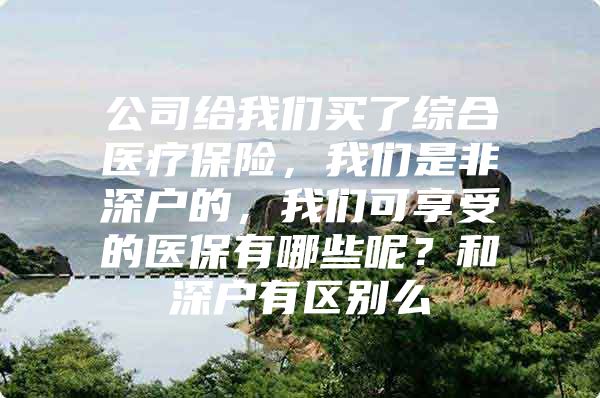 公司给我们买了综合医疗保险，我们是非深户的，我们可享受的医保有哪些呢？和深户有区别么