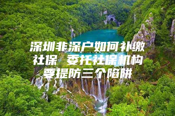 深圳非深户如何补缴社保 委托社保机构要提防三个陷阱