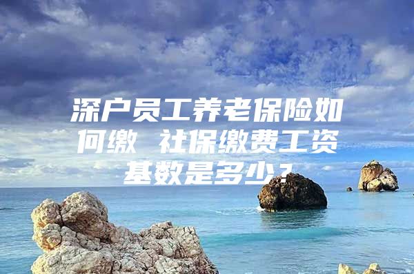 深户员工养老保险如何缴 社保缴费工资基数是多少？