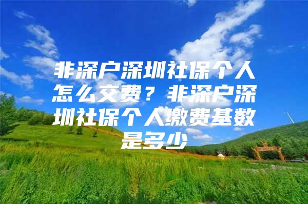 非深户深圳社保个人怎么交费？非深户深圳社保个人缴费基数是多少