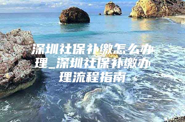 深圳社保补缴怎么办理_深圳社保补缴办理流程指南